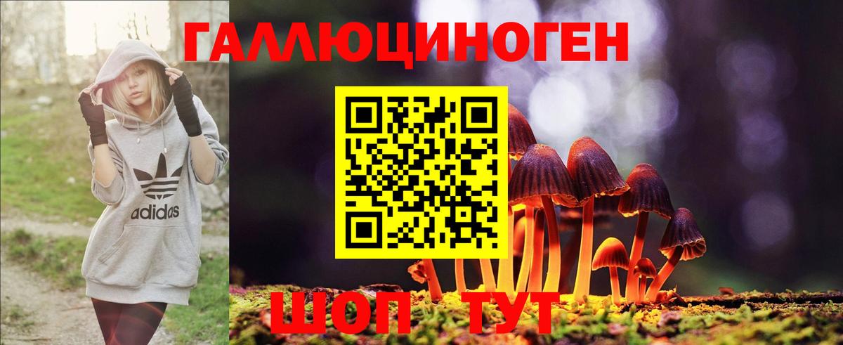 Глазов  Галлюциногенные грибы Psilocybe  Вход с VPN  Псилоцибиновые грибы MAGIC MUSHROOMS 